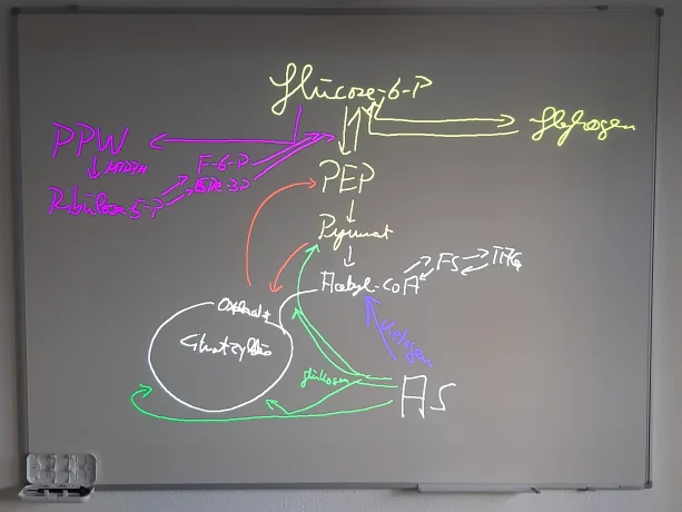 Seminar.png